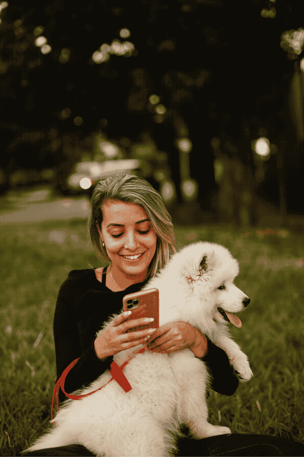 Veterinary professional