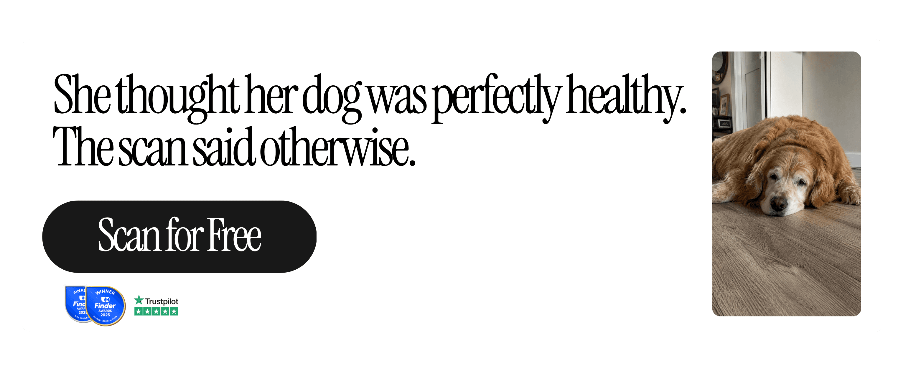 Free Dog Health Scan